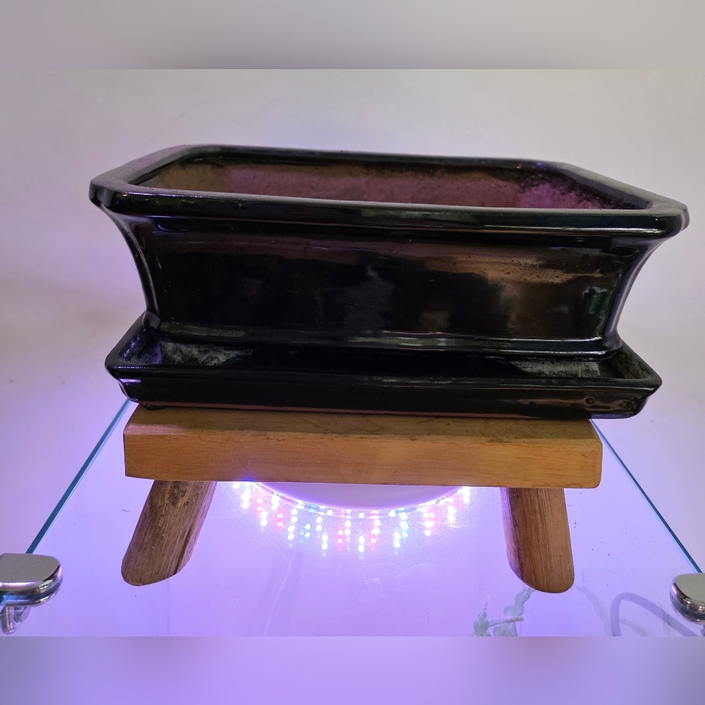 Black Glazed Terracotta Bonsai Planter